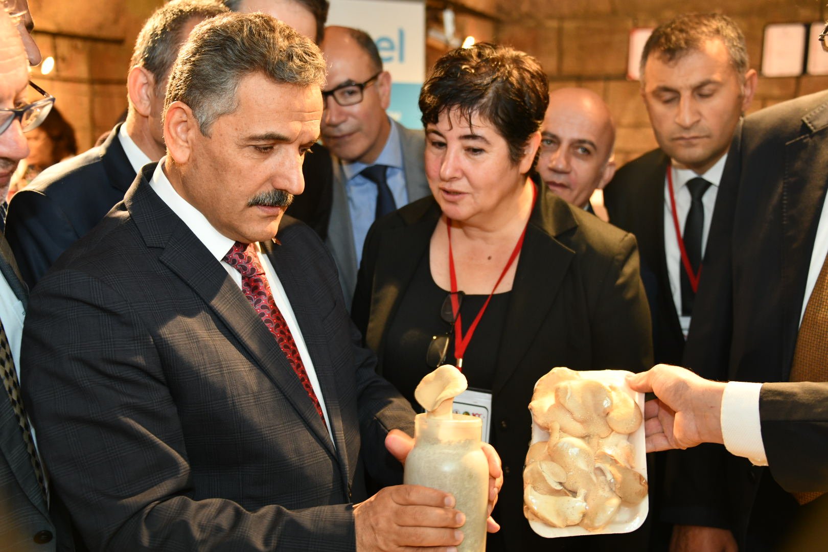  Samsun mantarı sevdi 
